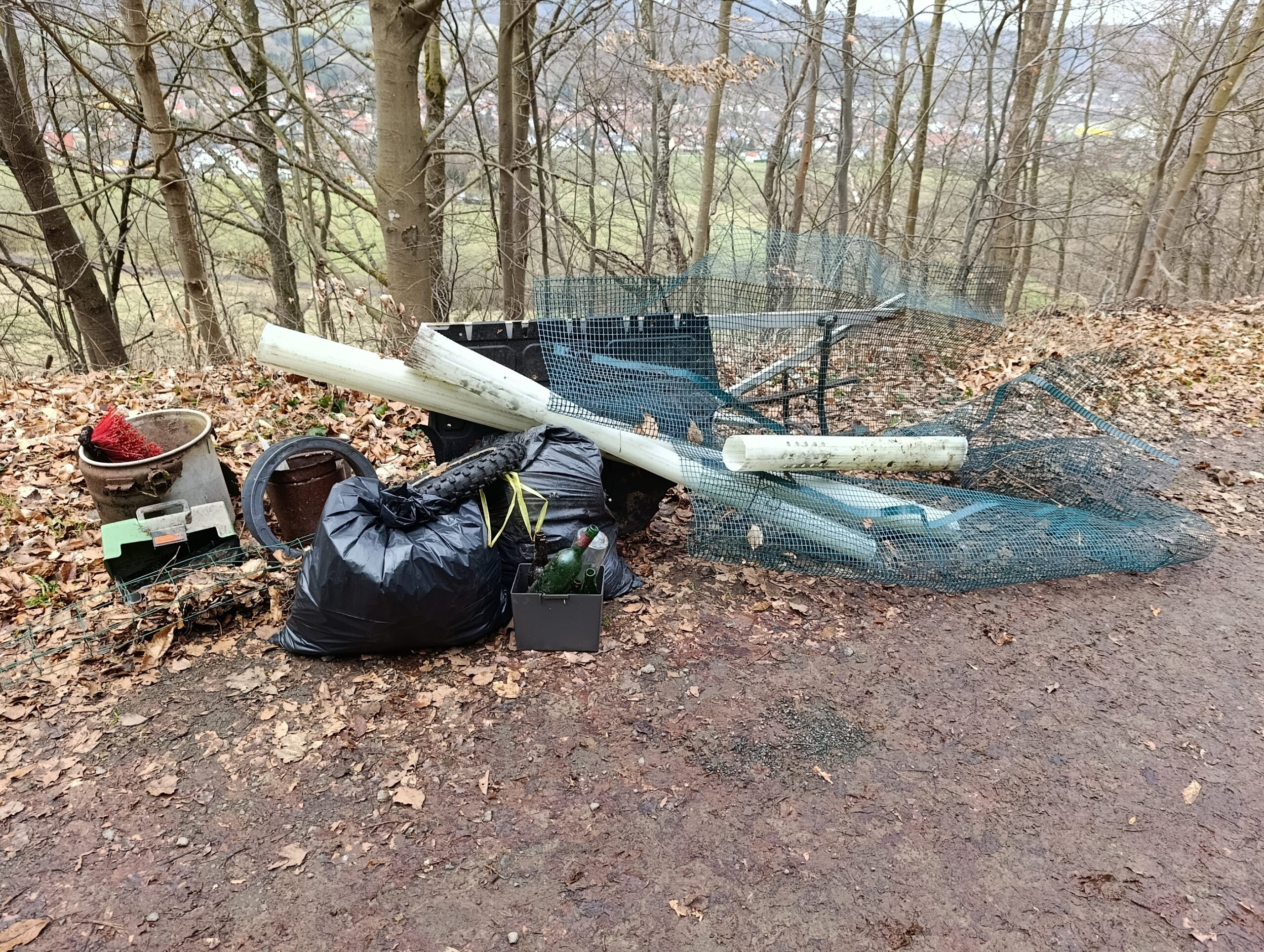 Waldputzchallenge für Thüringer Schulen