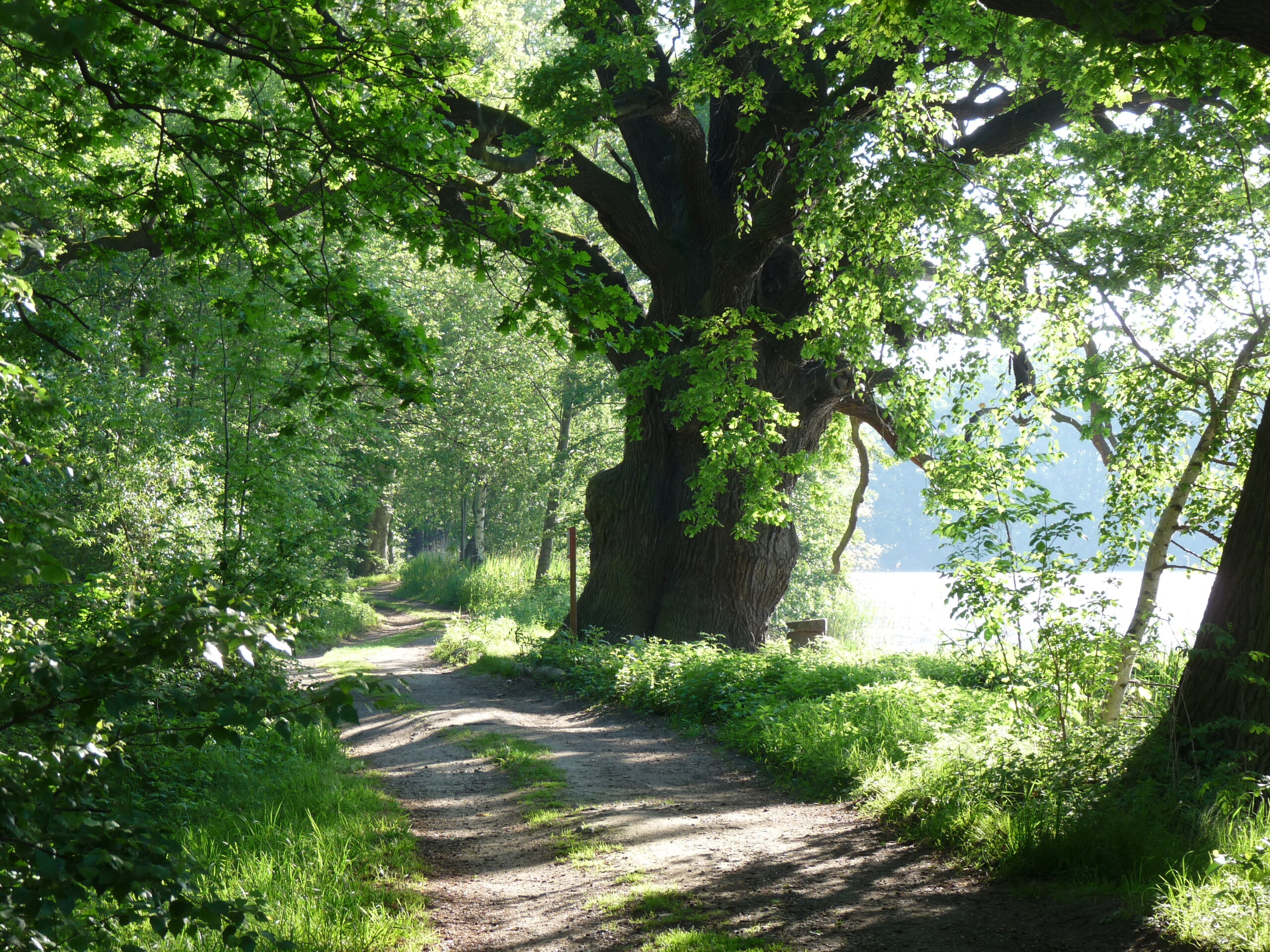 Müllsammelaktion am Bärwalder See