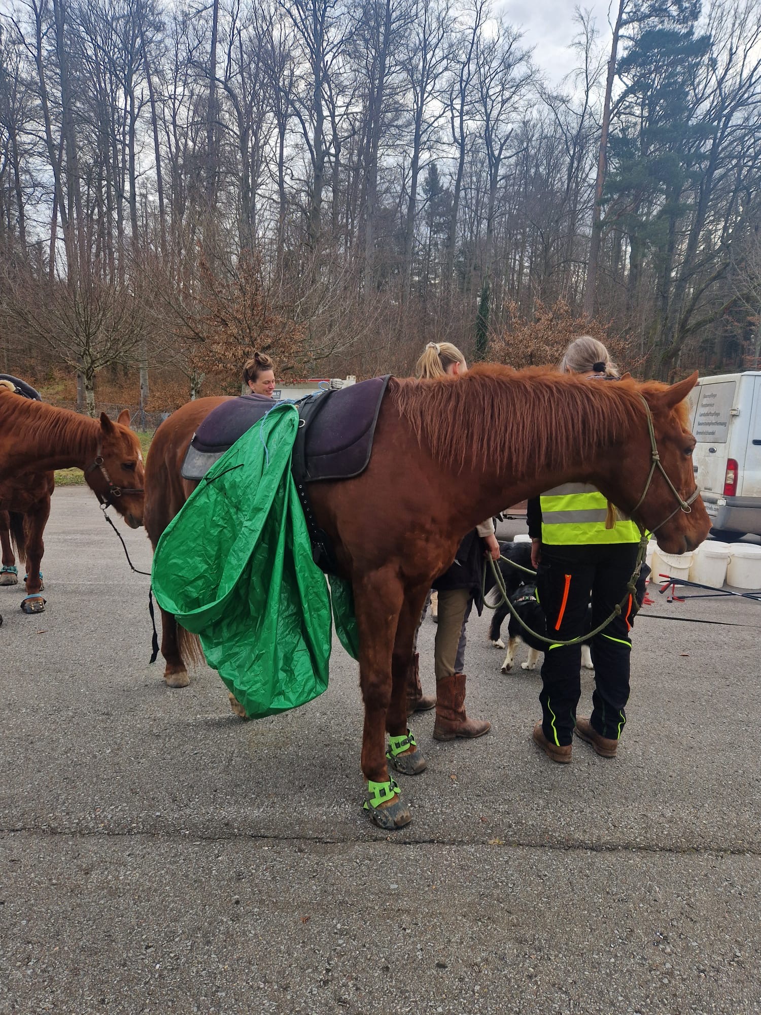 Waldputzete Marxzell: Treffpunkt Sportplatz Pfaffenrot; Projektgruppe Marxzell&Natur