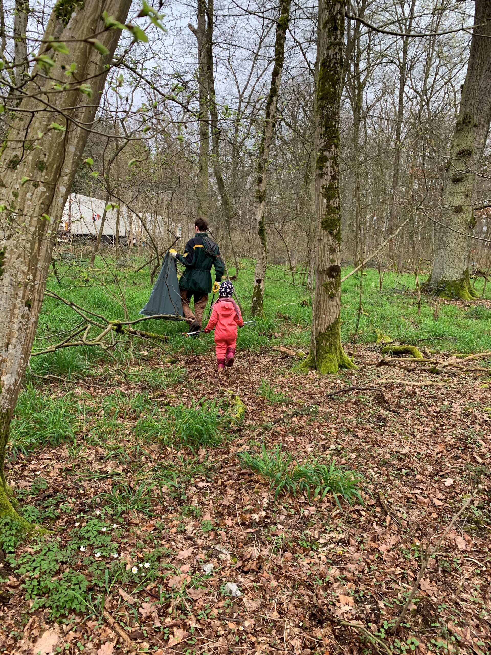 Forest Cleanup Day im Wieslocher Dämmelwald