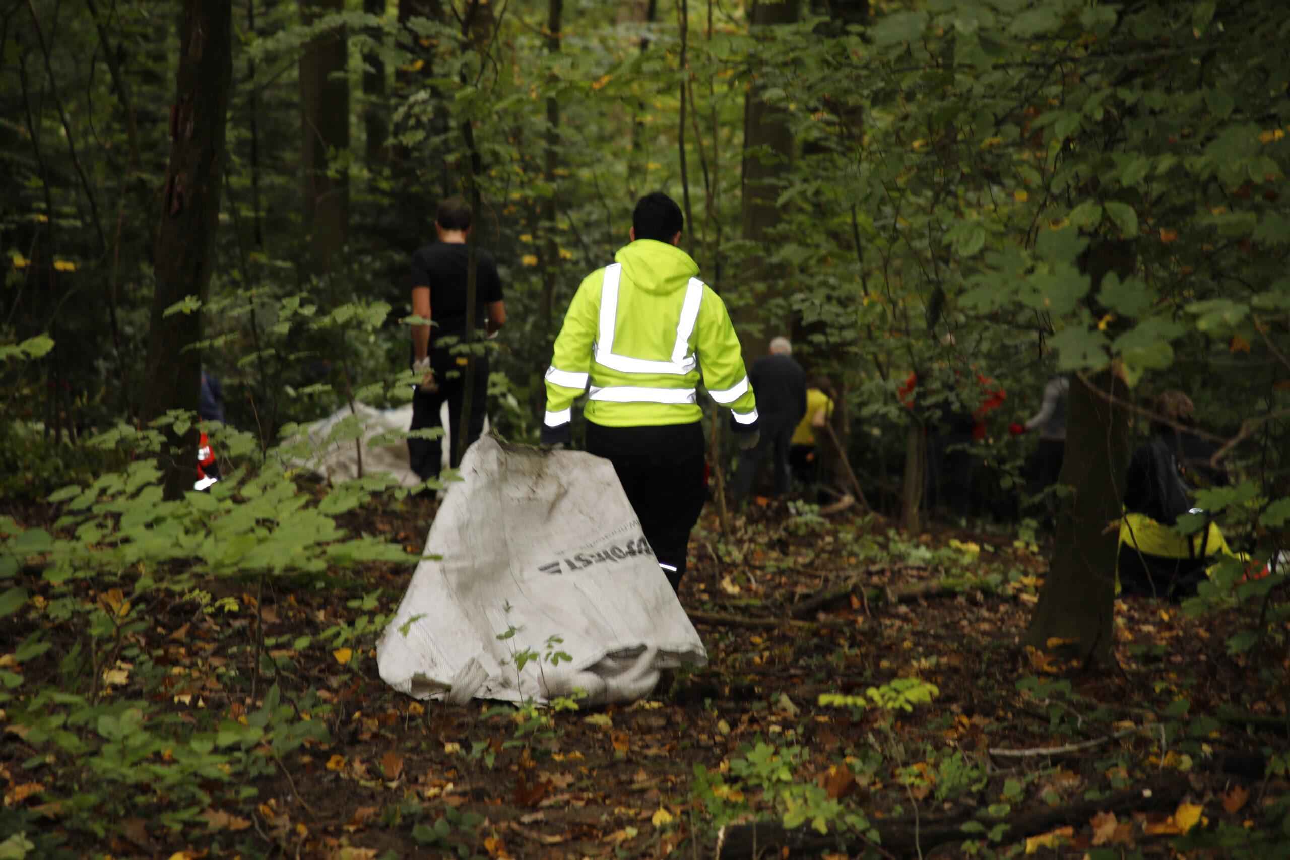 Waldputztag in Grünwinkel