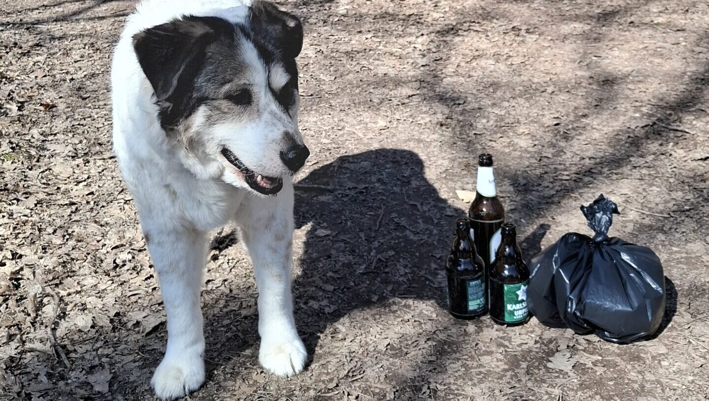 Müll sammeln in der Mittagspause