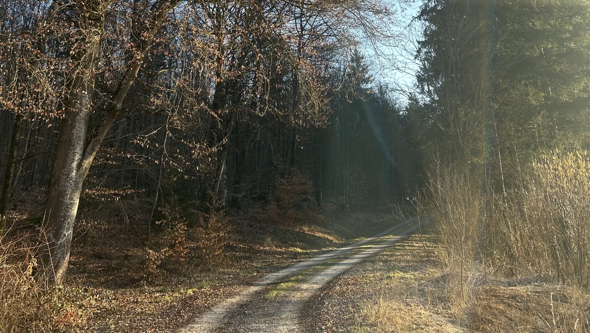 Waldputztag - Müllsammelaktion im Gemeindewald Hardheim