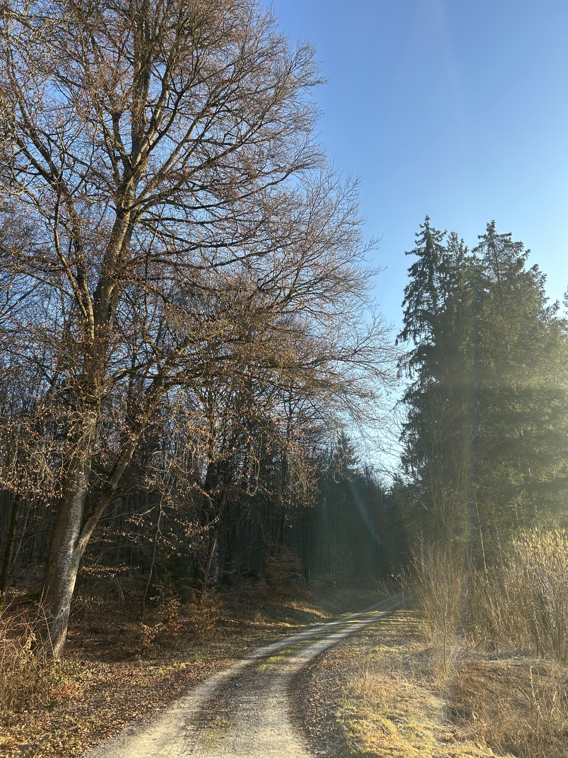 Waldputztag - Müllsammelaktion im Gemeindewald Hardheim