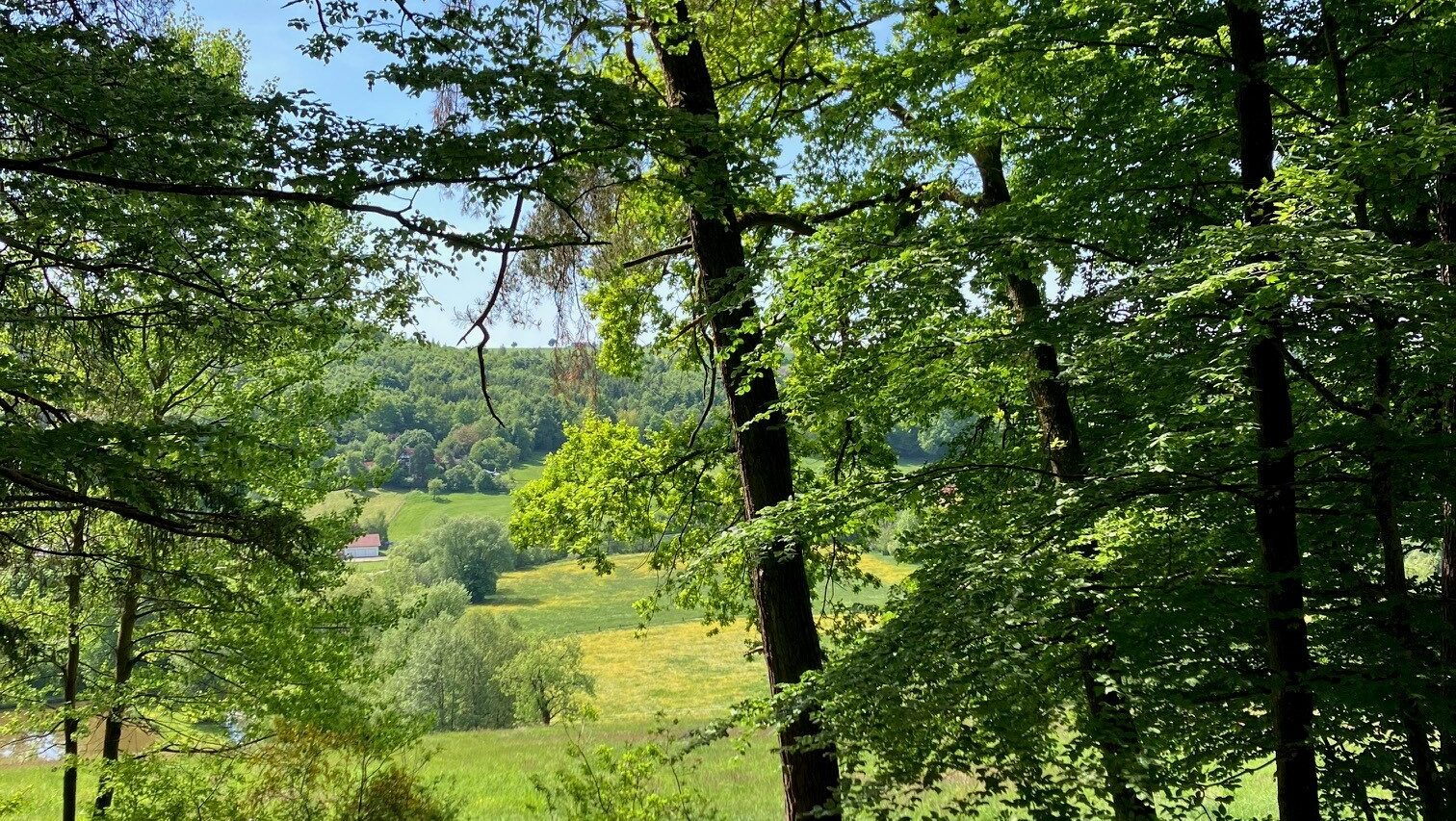 Waldputzete Revier Abtsgmünd