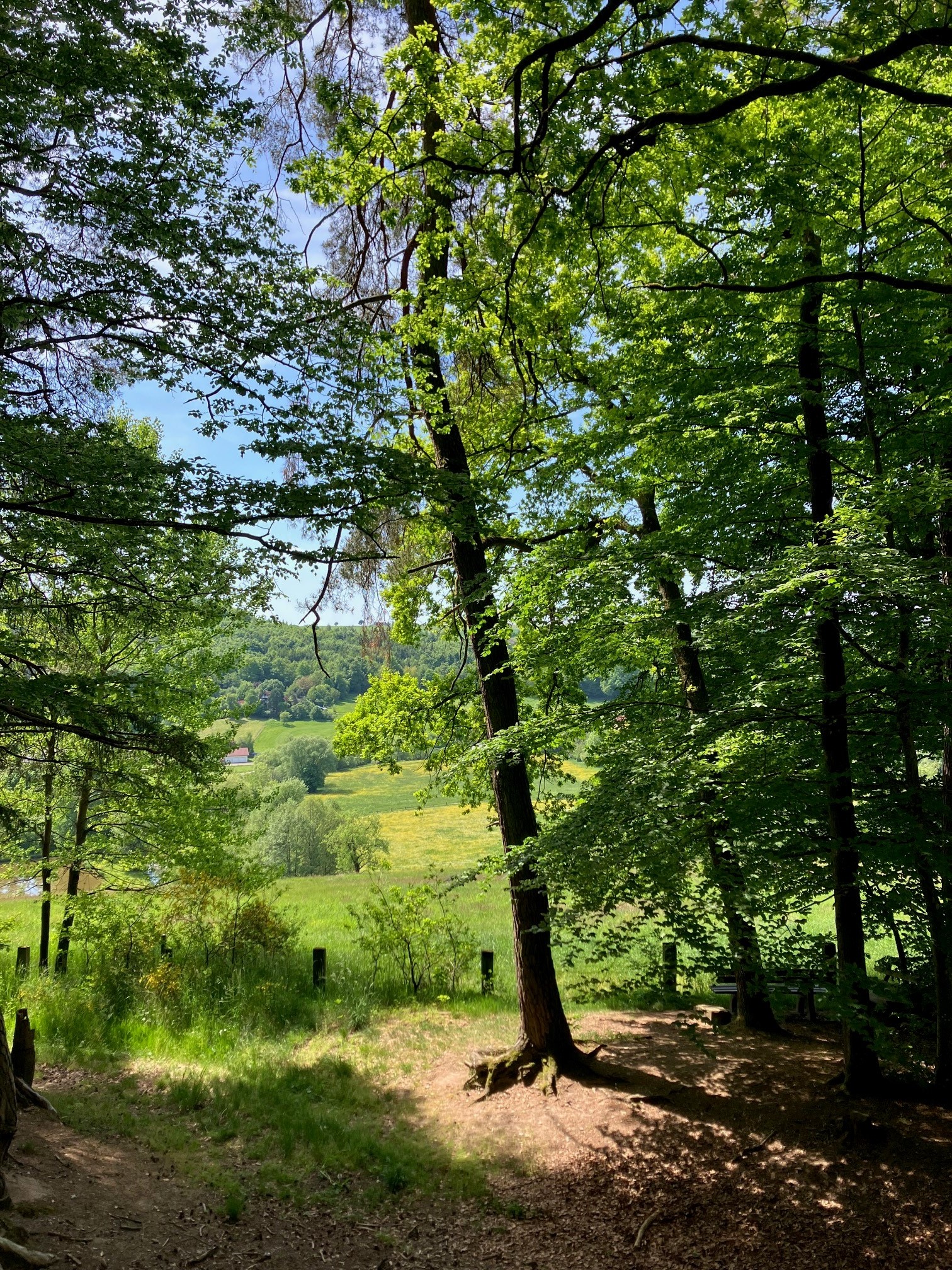 Waldputzete Revier Abtsgmünd