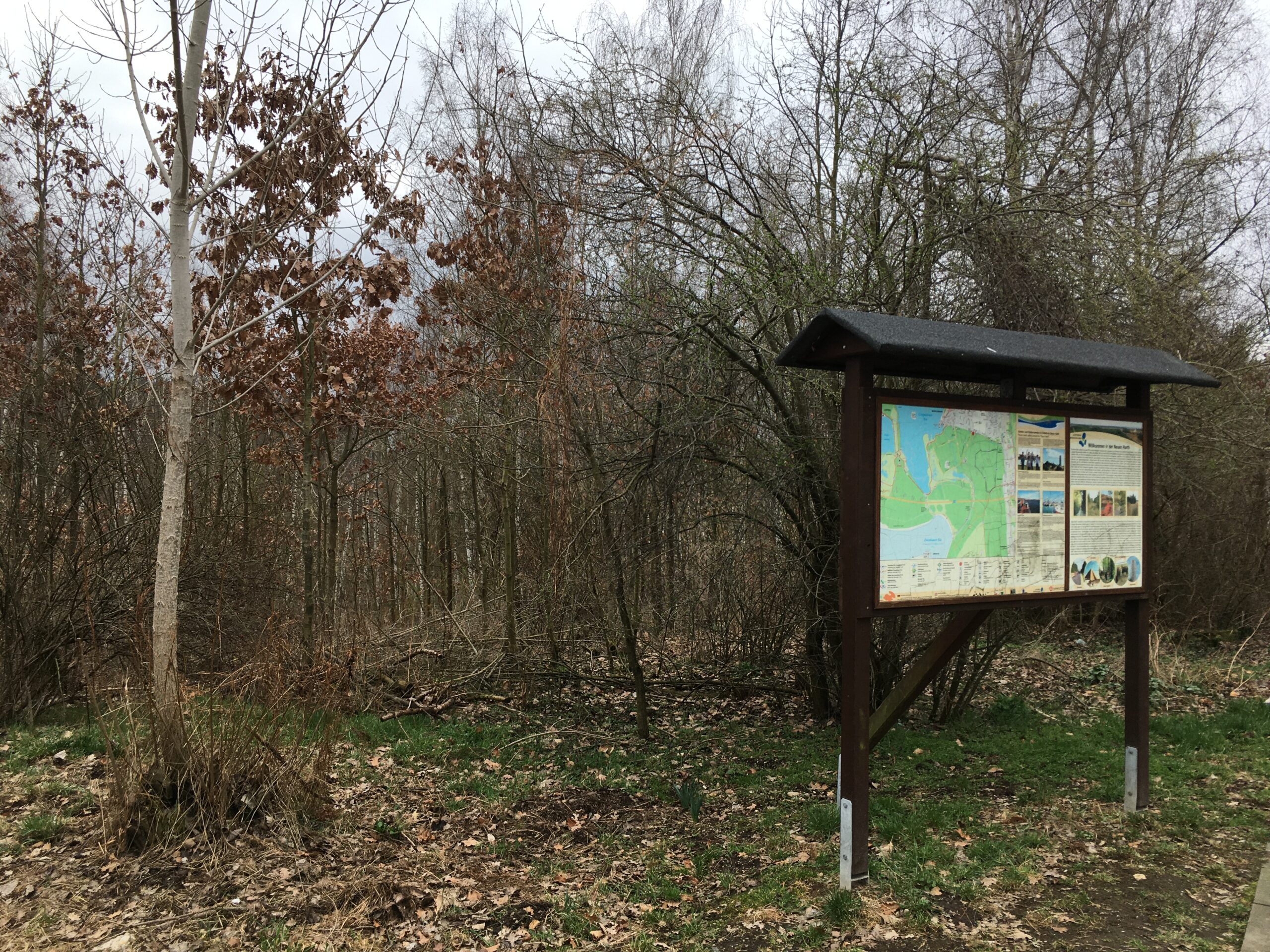 Waldspaziergang mit doppeltem Nutzen